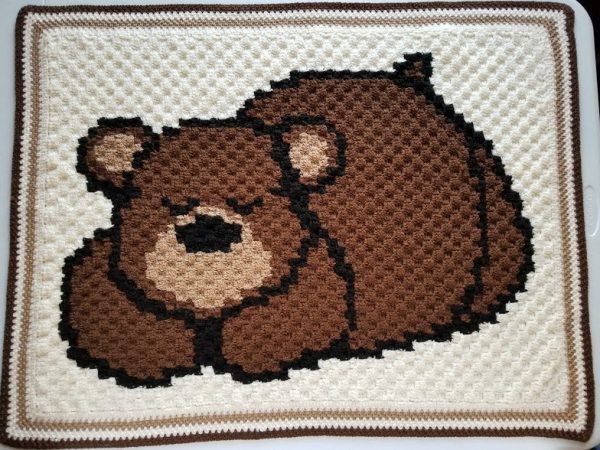 Sleepy Bear Baby Blanket