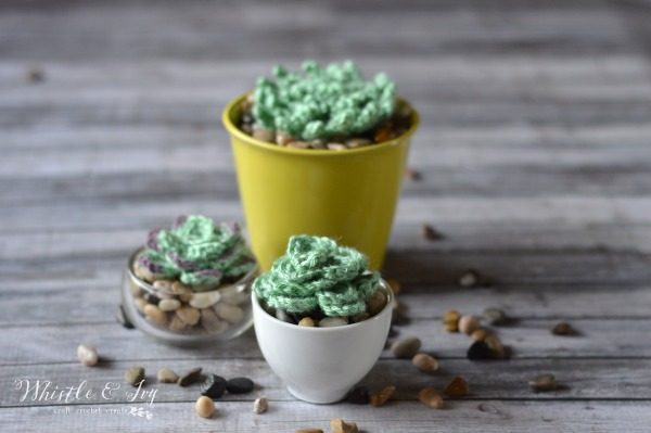 Crochet Succulents Pattern